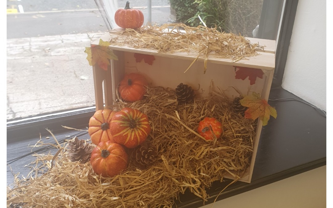 Autumn at faye louise hair salon